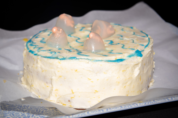 Liquid Lemondural cake by Lauren Narbey and Devon Jennings